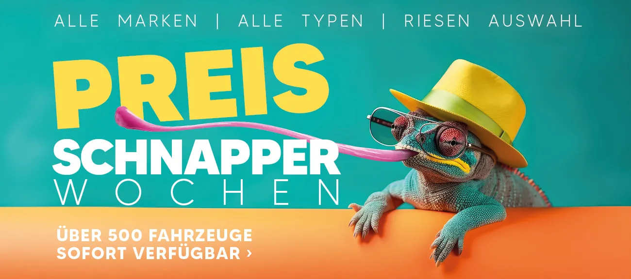 Preisschnapper