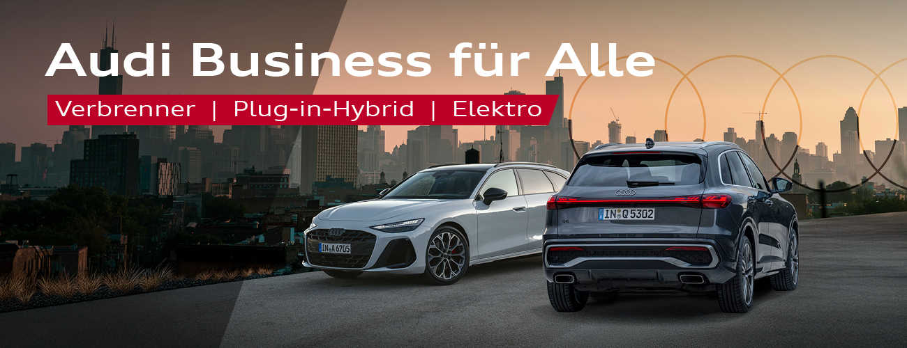Header Audi Business für Alle